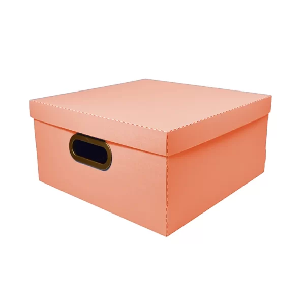 CAJA ORGANIZADORA PEQUEÑA CORAL 25X25X15cm DELLO