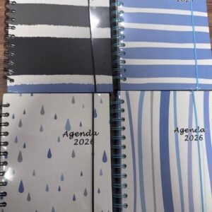 AGENDA ESPIRAL 2026 DD-6